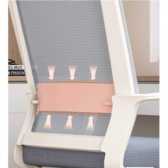 Ergonomic Middle Back Breathable Mesh Office Chair Z30362
