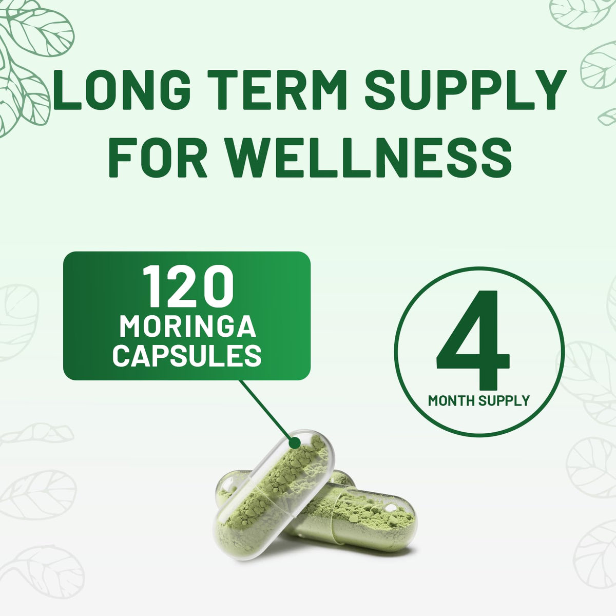 120 Moringa Capsules H437