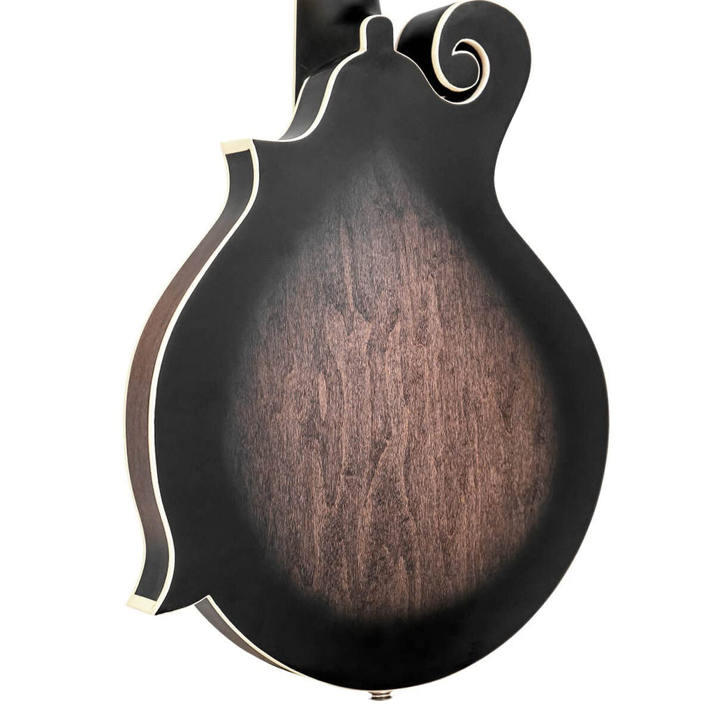 F-style Mando-Guitar with Pickup and Hard Foam Case I593858