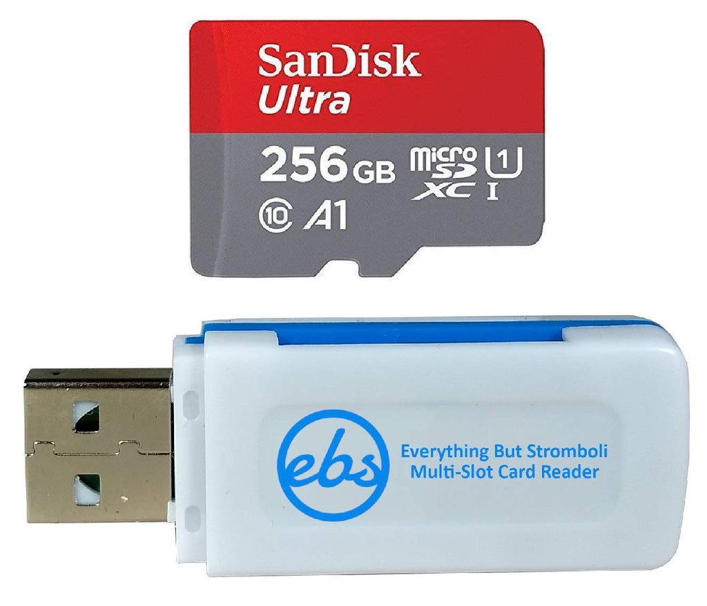 256GB MicroSD Memory Card P2441