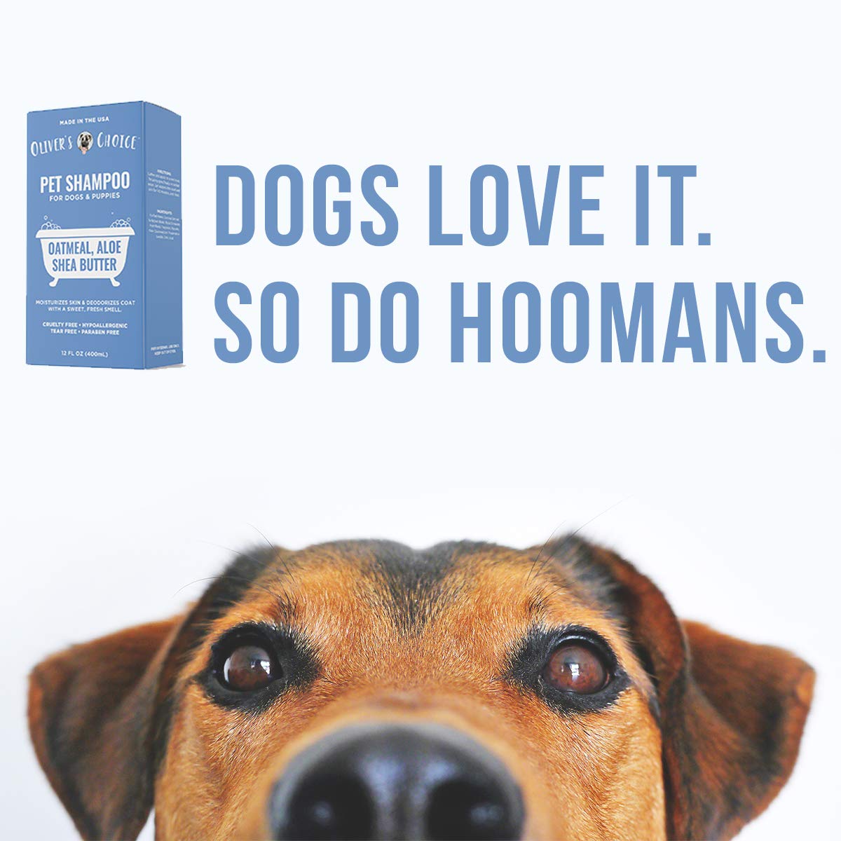 Oatmeal Aloe Shea Butter Dog Shampoo 14 fl. oz K404445
