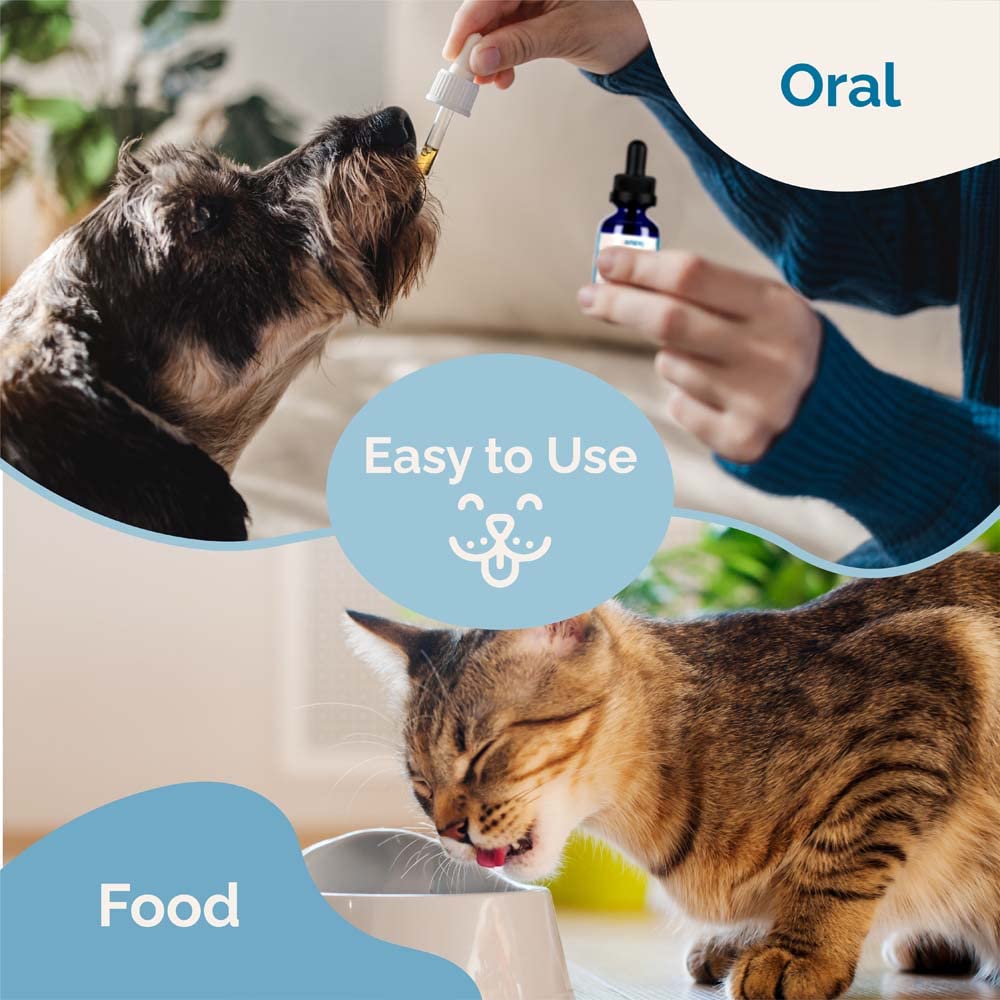 Liver Supplement for Dogs & Cats Herbal Formula W4476