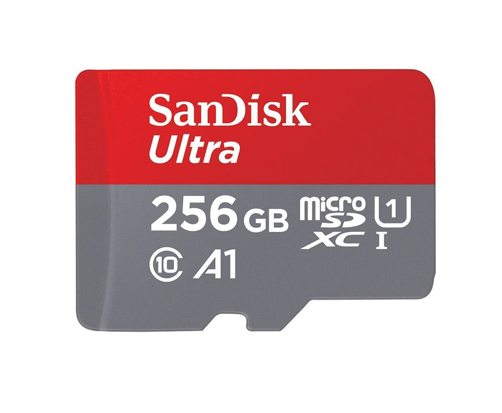 256GB MicroSD Memory Card P2441