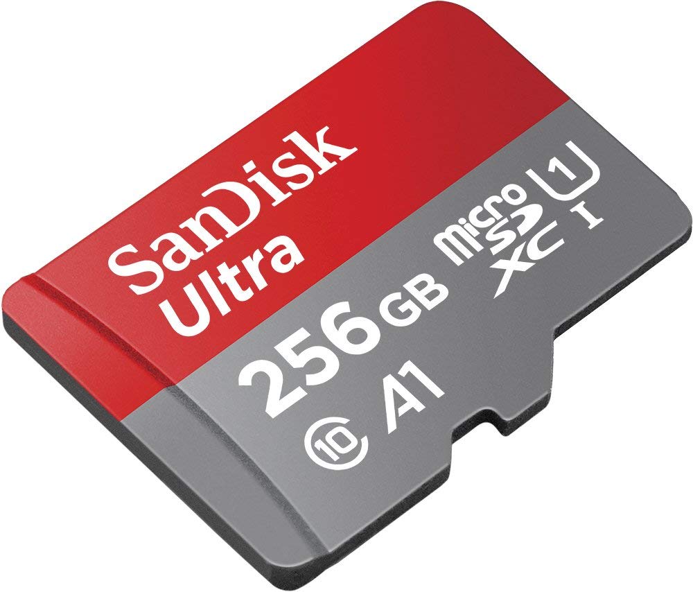 256GB MicroSD Memory Card P2441