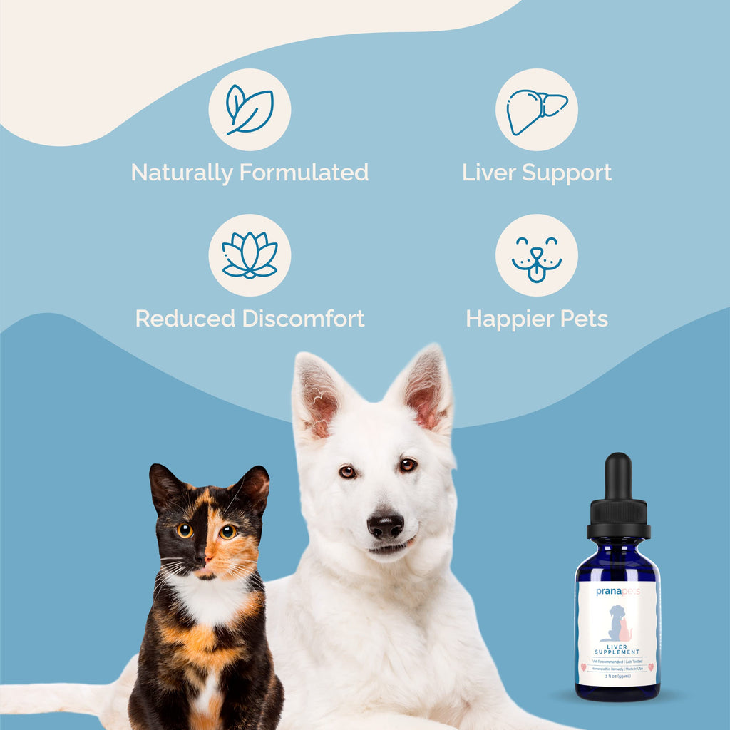 Liver Supplement for Dogs & Cats Herbal Formula W4476