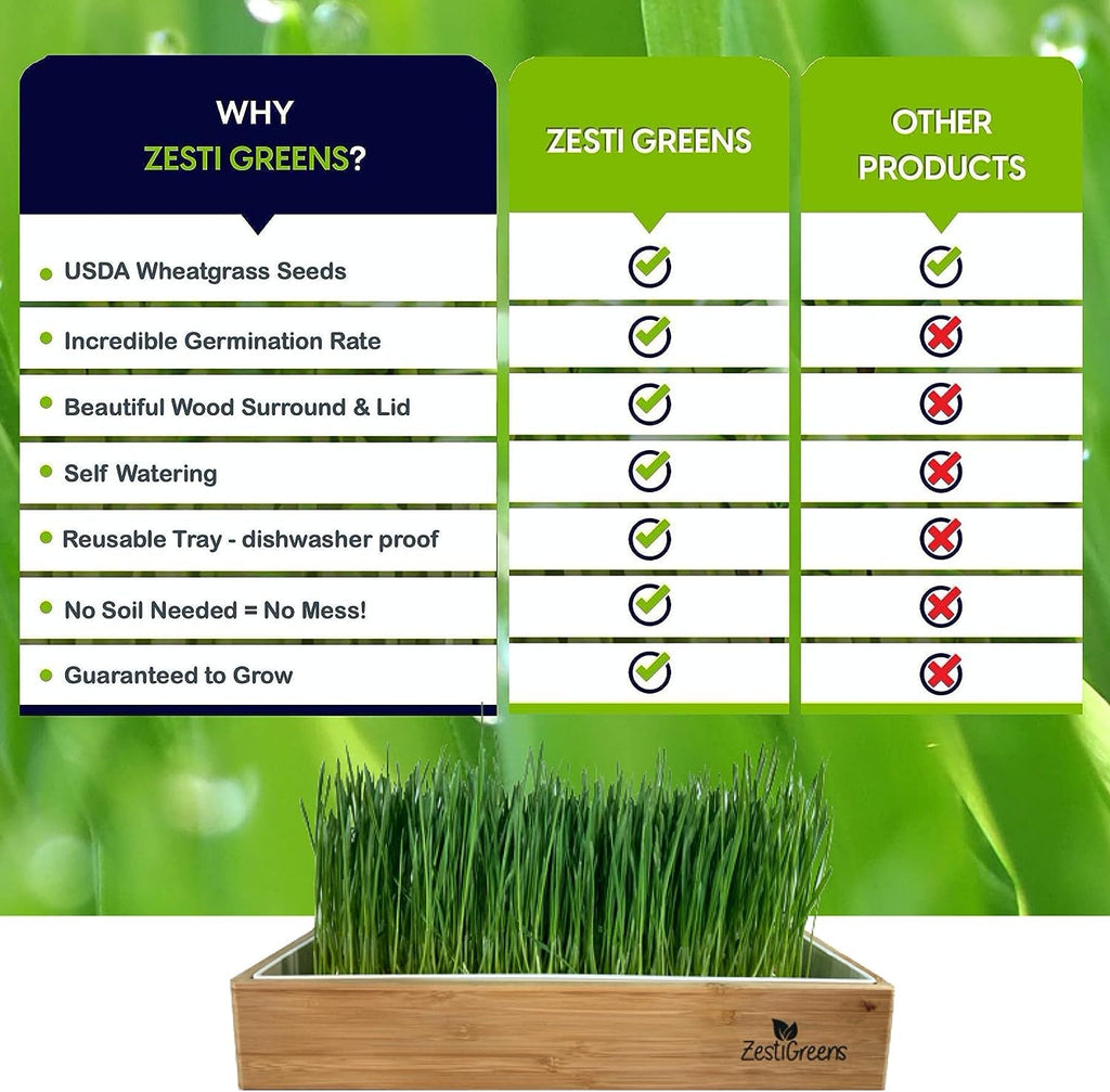 Wheatgrass Growing Kit Self-Watering Reusable Tray H9480