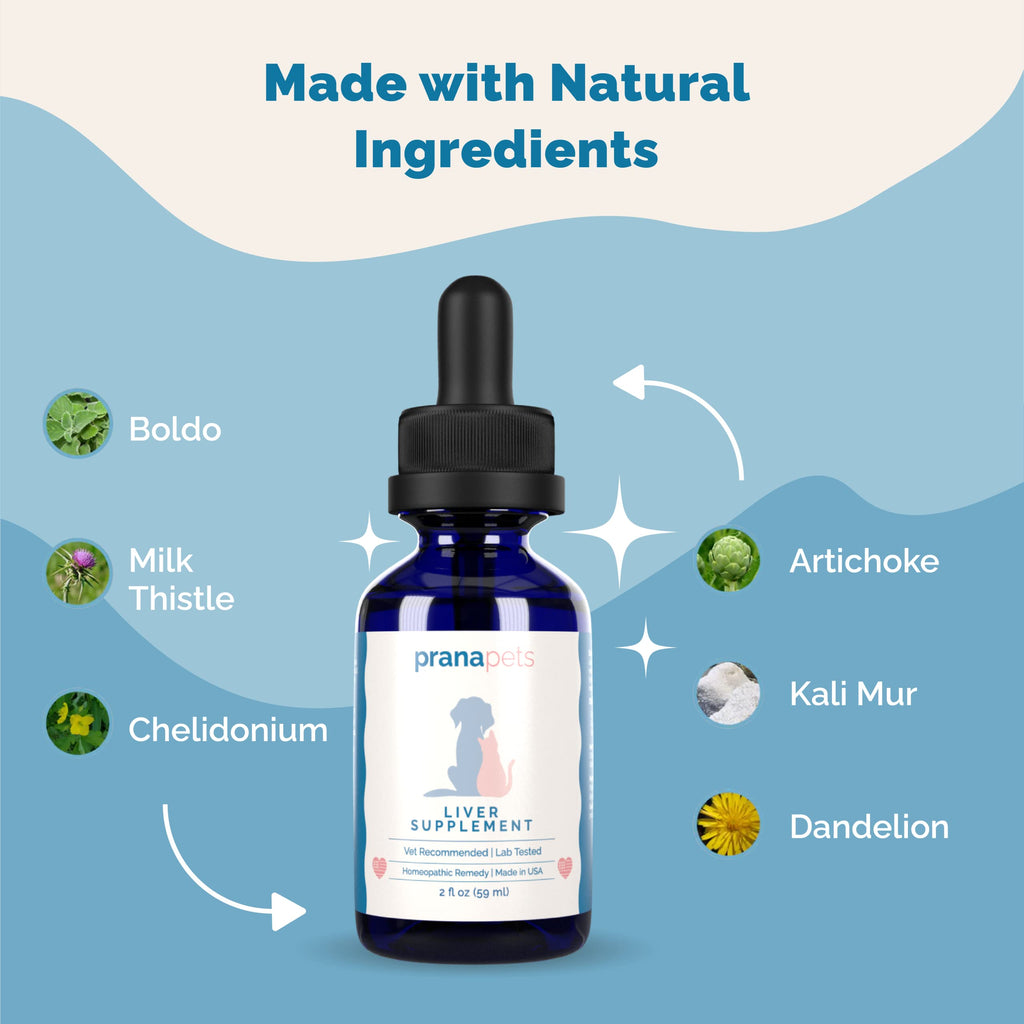 Liver Supplement for Dogs & Cats Herbal Formula W4476