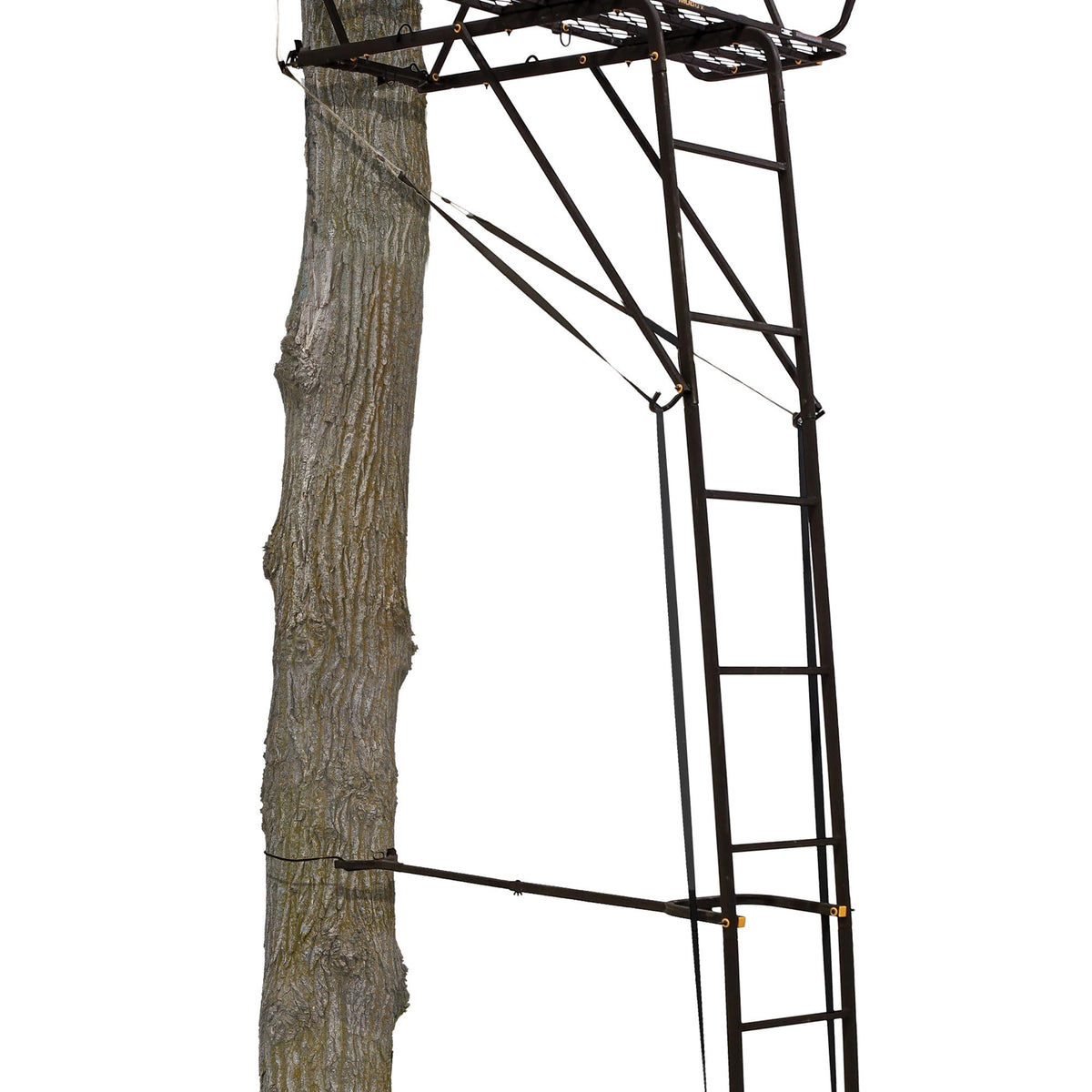 Hunting Deer Ladder Stand 20 ft with Blind Kit X54985