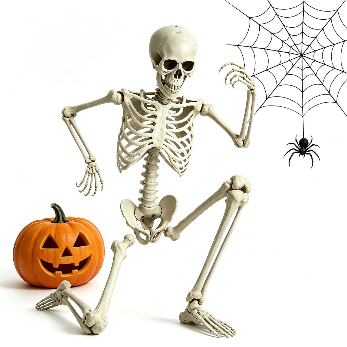 5.4FT Life Size Skeleton with Movable Joints K8321