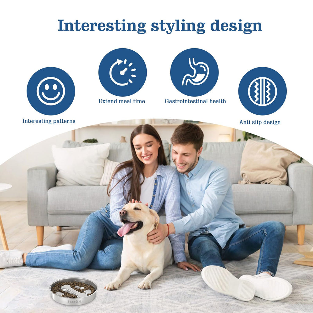 Stainless Steel Non-Slip Slow Feeder Dog Bowl D247108