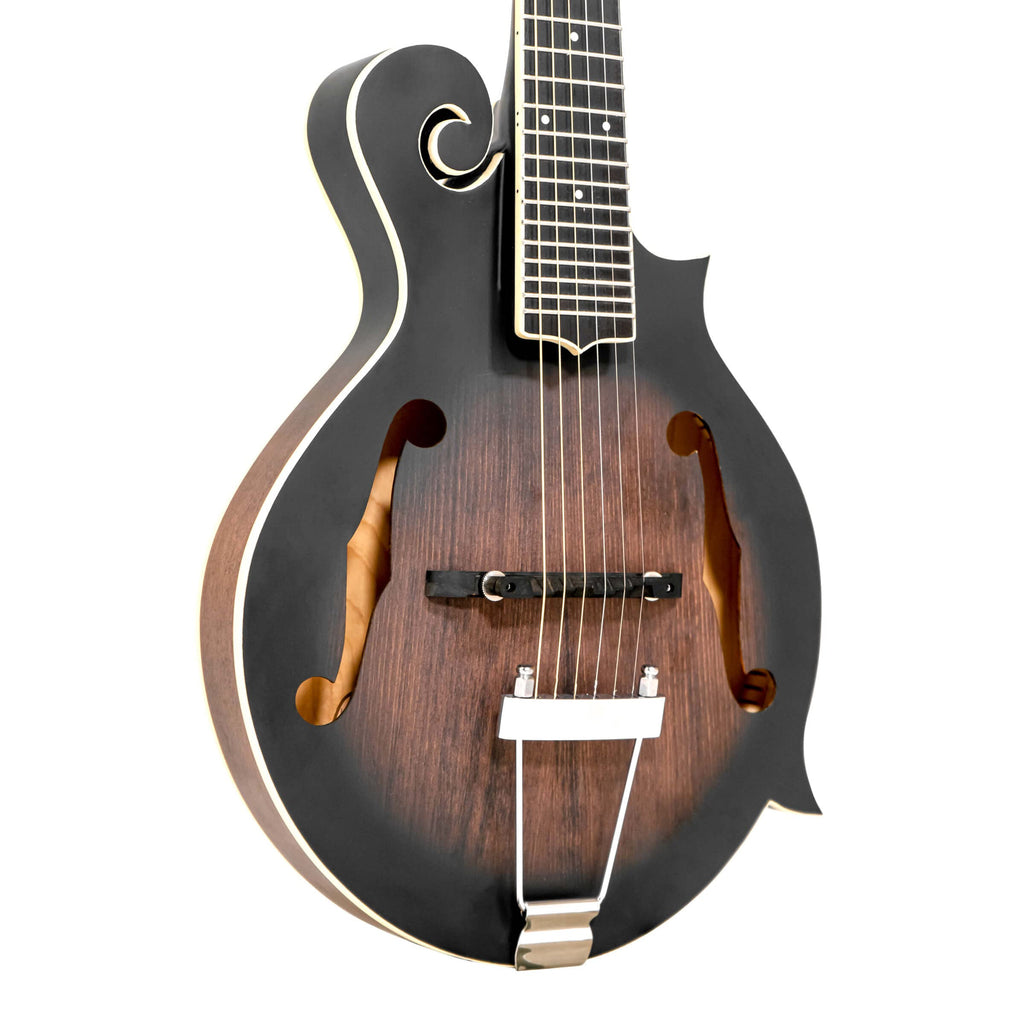 F-style Mando-Guitar with Pickup and Hard Foam Case I593858