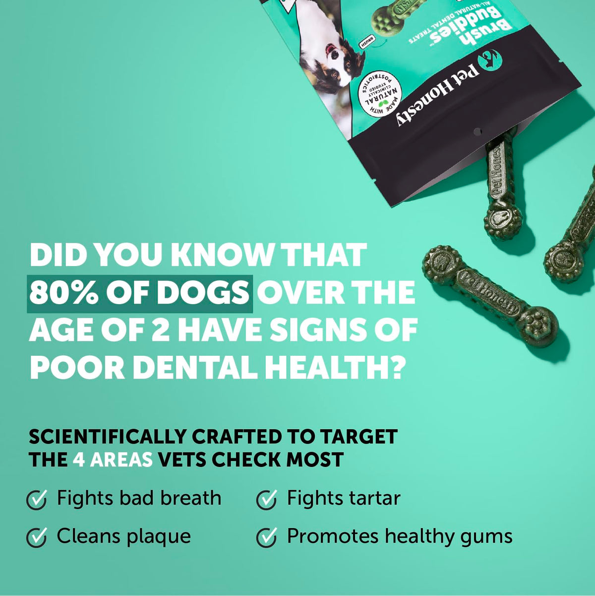 Dog Dental Chews 15 Count G456