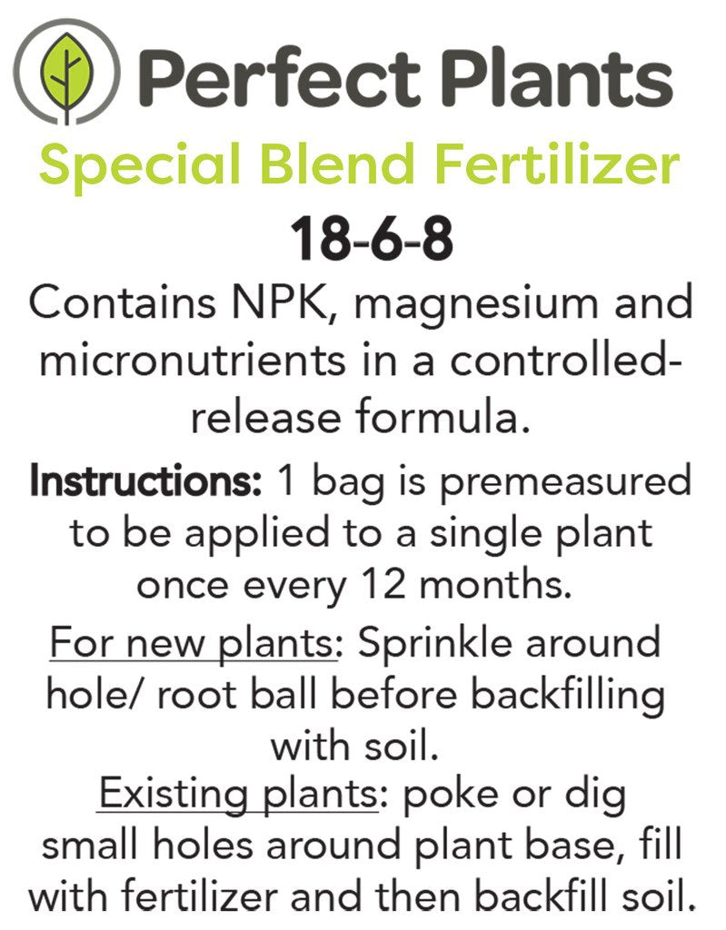 Frostproof Gardenia Live Plant 3 Gallon Pot V5679