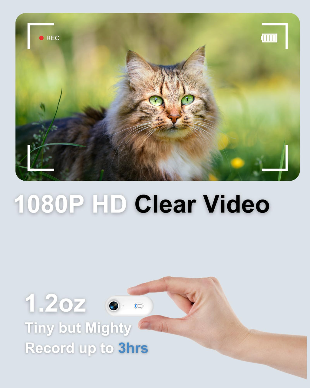 Cat Camera Collar with Location Tracker P6641