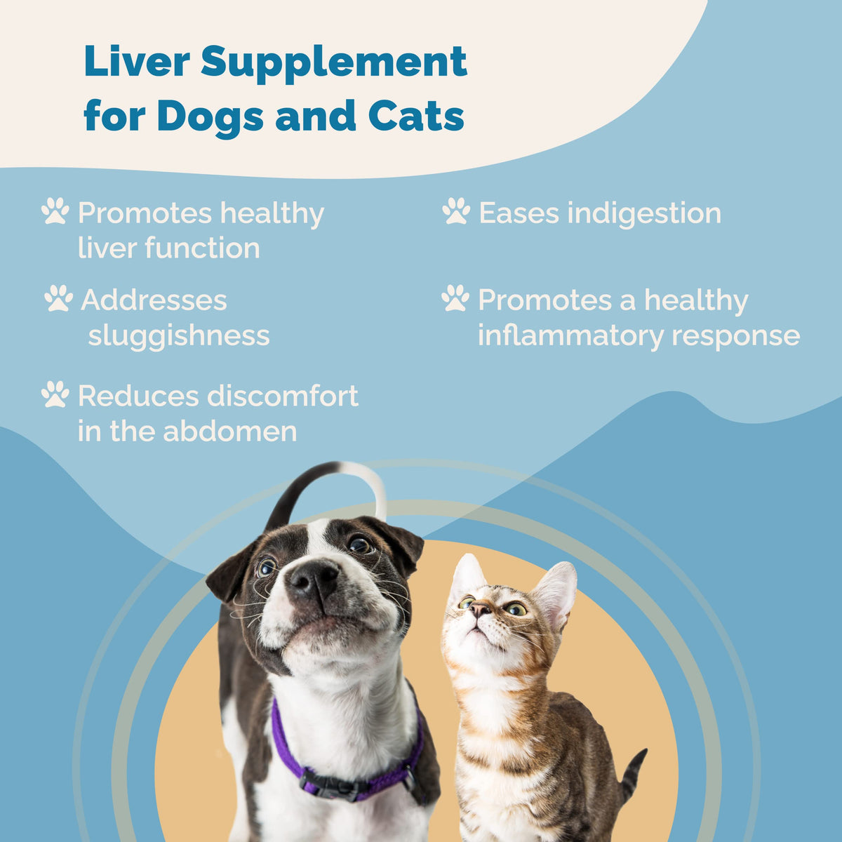 Liver Supplement for Dogs & Cats Herbal Formula W4476