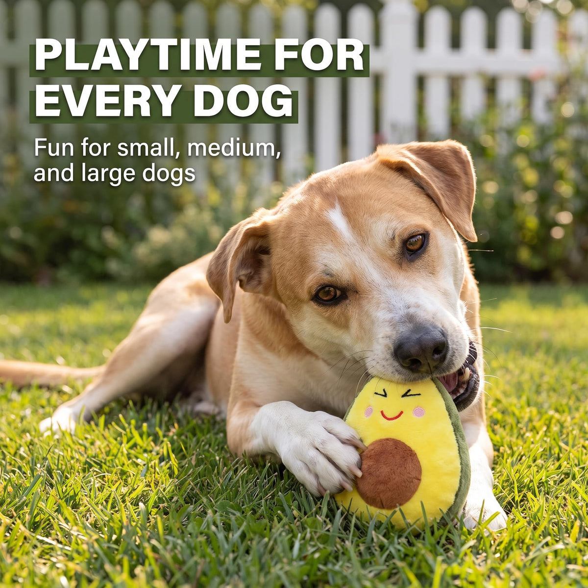 Squeaky Plush Avocado Dog Chew Toy H376675
