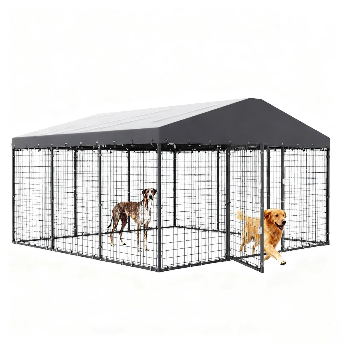 10 x 10 x 6 FT Outdoor Dog Kennel A9335