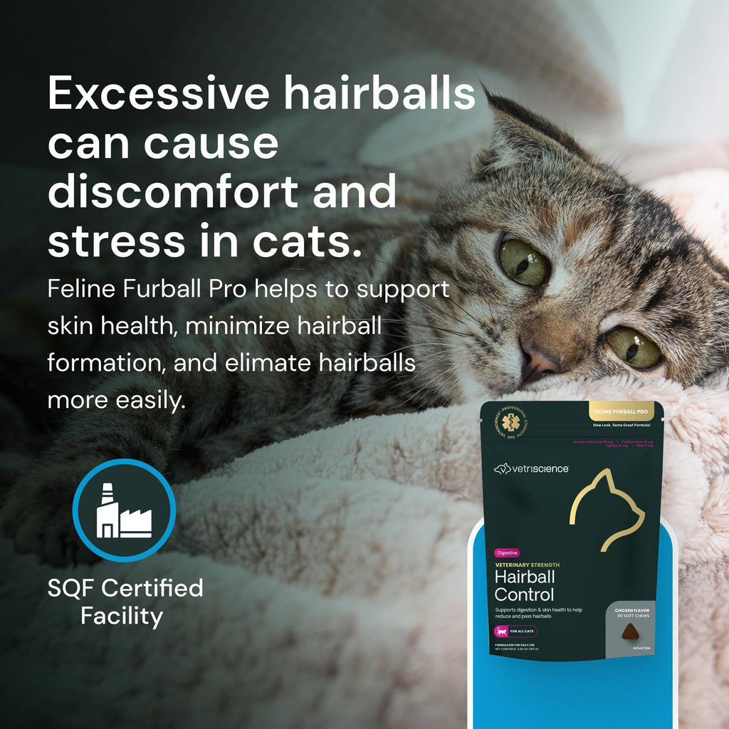 Chicken Flavor Cat Chews M6892