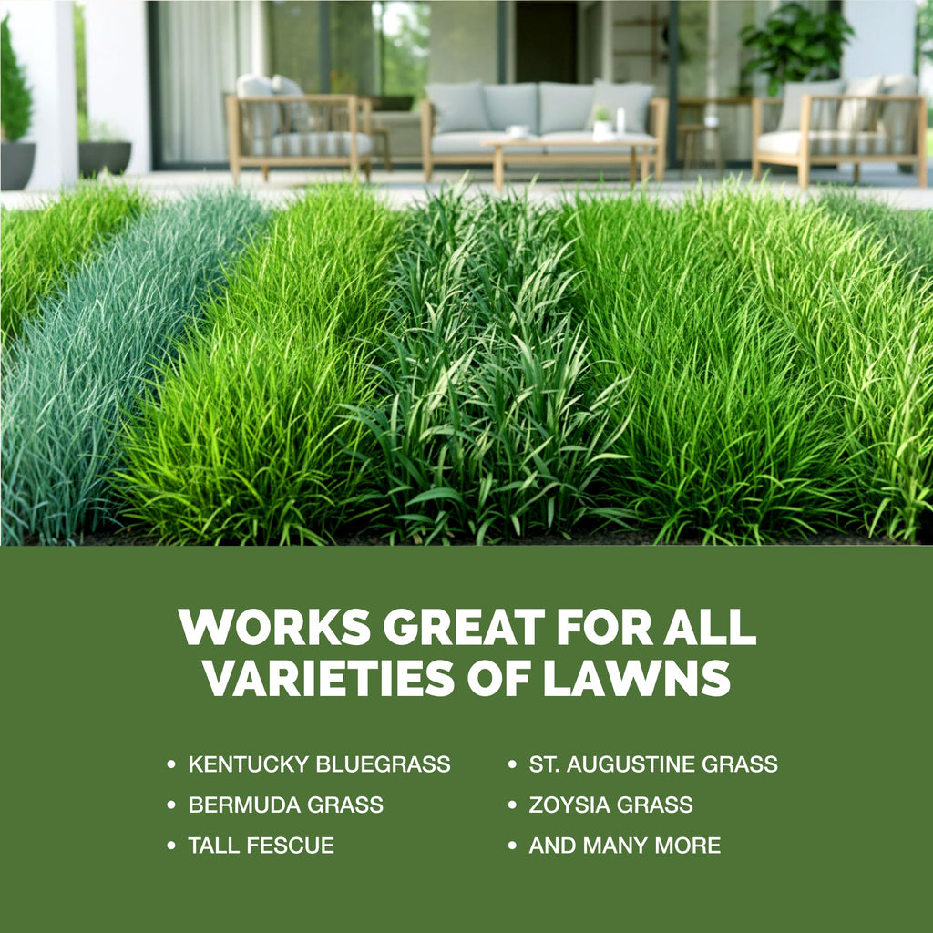 Liquid Lawn Fertilizer 1 Gallon Y71651