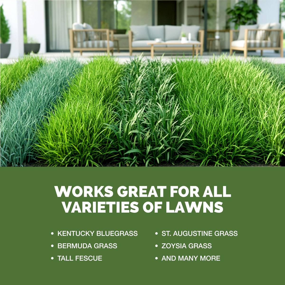 Liquid Lawn Fertilizer 1 Gallon Y71651