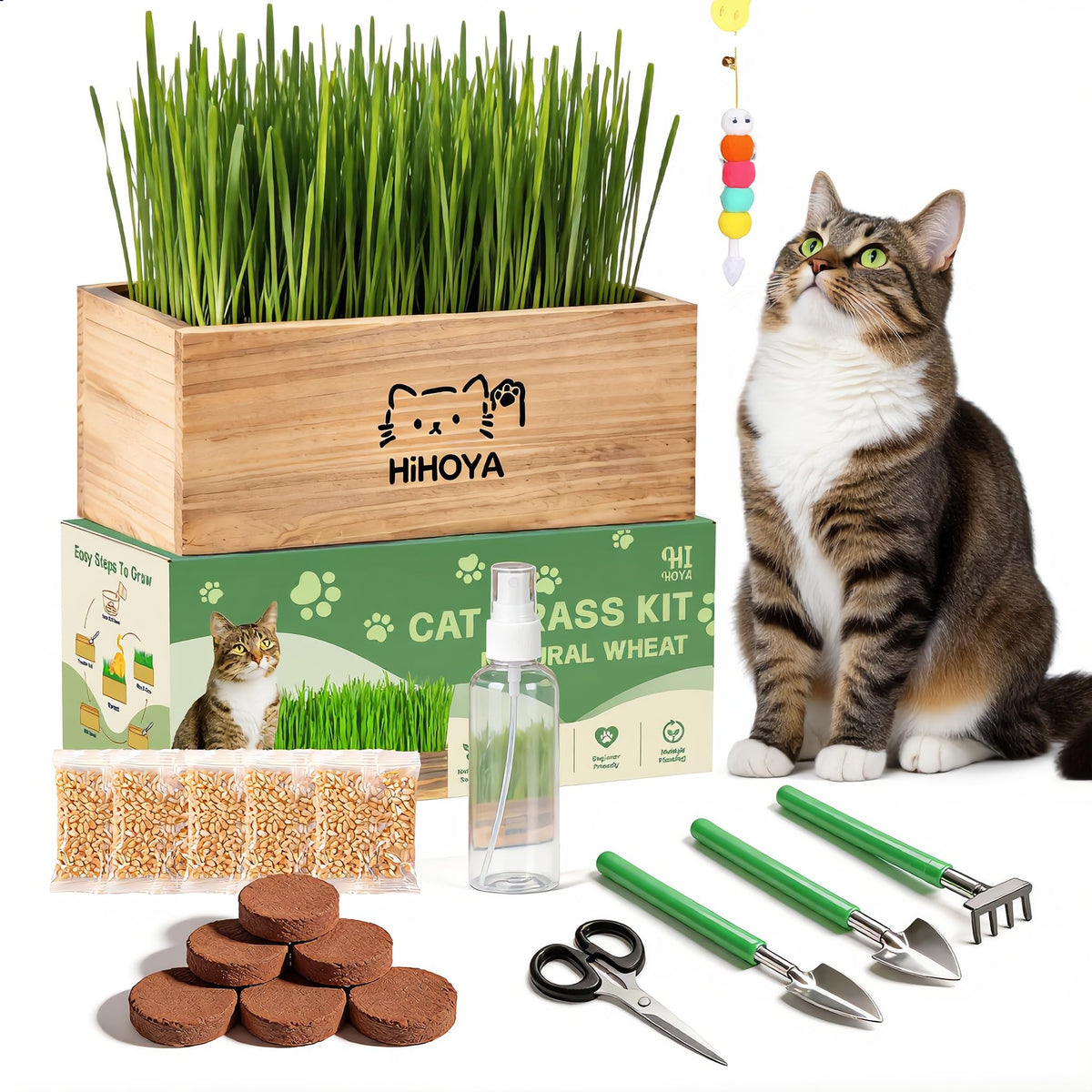 Cat Grass Kit with 5 Packets of Seeds, Wooden Planter, 6 Soil Discs, Trimming Scissors, Spray Bottle, and Mini Tools Z275866