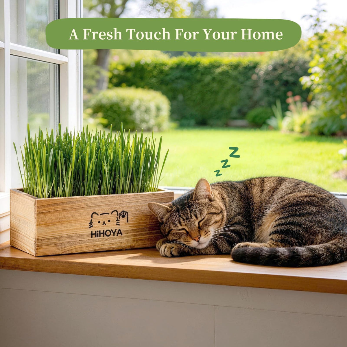 Cat Grass Kit with 5 Packets of Seeds, Wooden Planter, 6 Soil Discs, Trimming Scissors, Spray Bottle, and Mini Tools Z275866