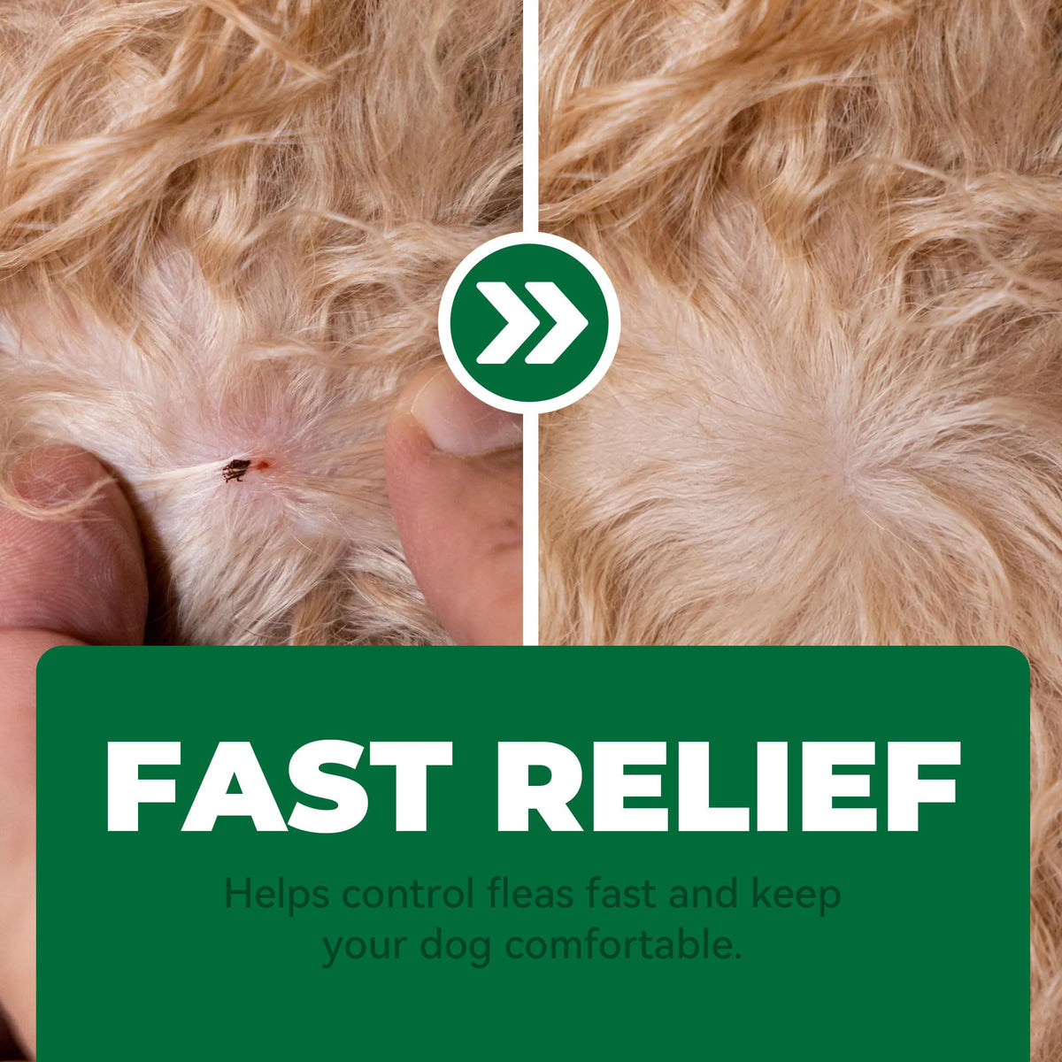 Flea and Tick Chews for Dogs 7.5 mg Soft Chews 30 Count Z356