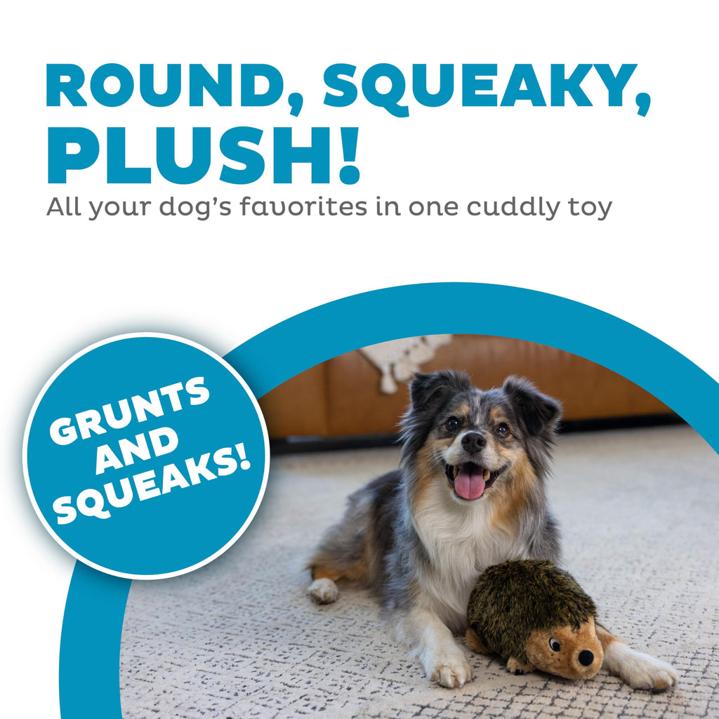 Plush Dog Toy A718423