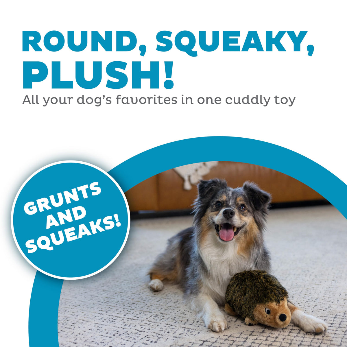 Plush Dog Toy A718423