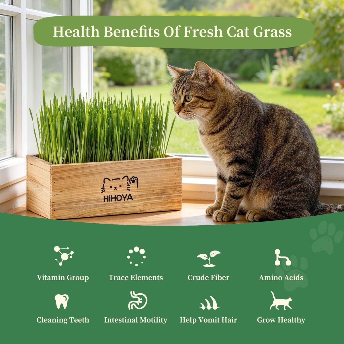 Cat Grass Kit with 5 Packets of Seeds, Wooden Planter, 6 Soil Discs, Trimming Scissors, Spray Bottle, and Mini Tools Z275866