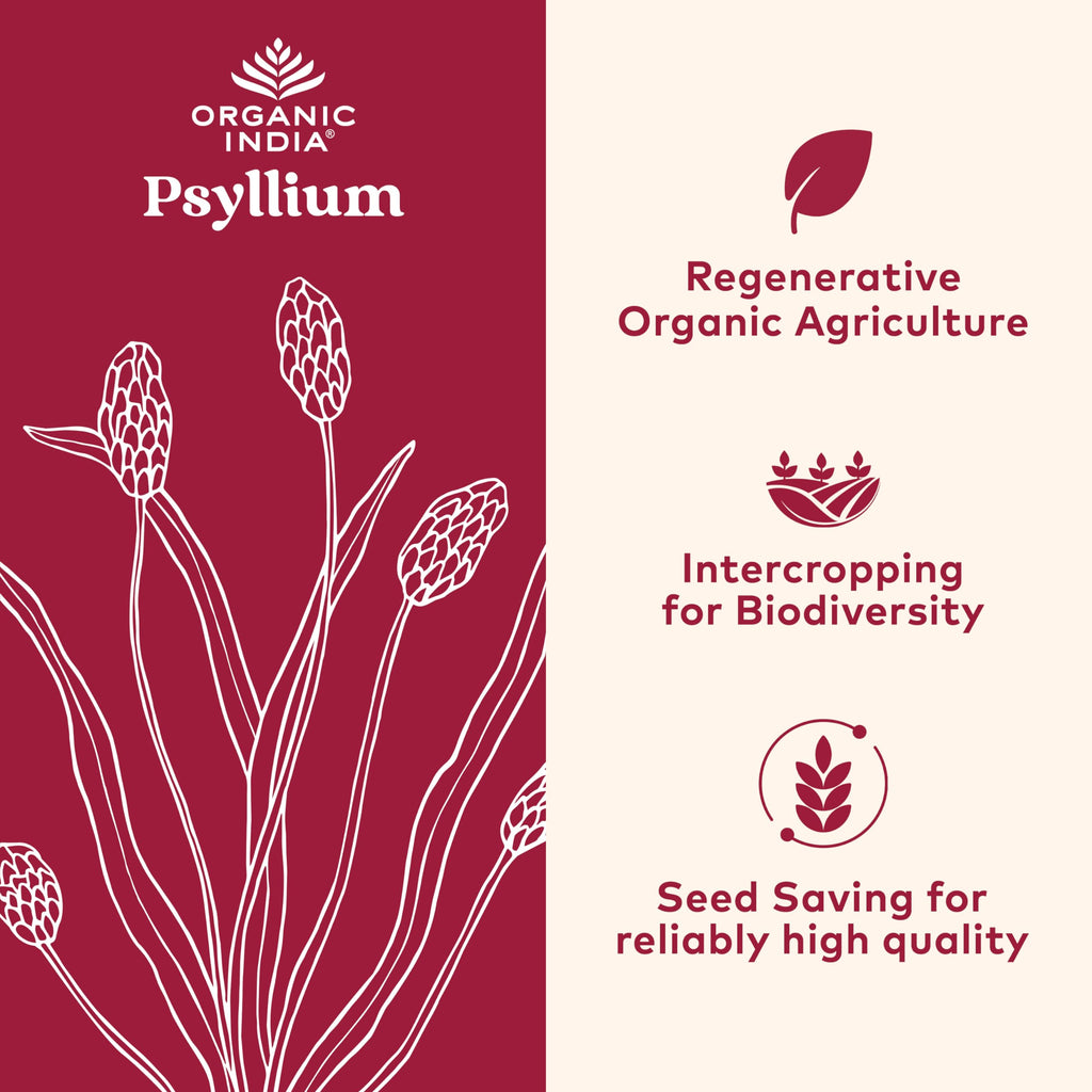 Psyllium Whole Husk Fiber Supplement 12 oz V776