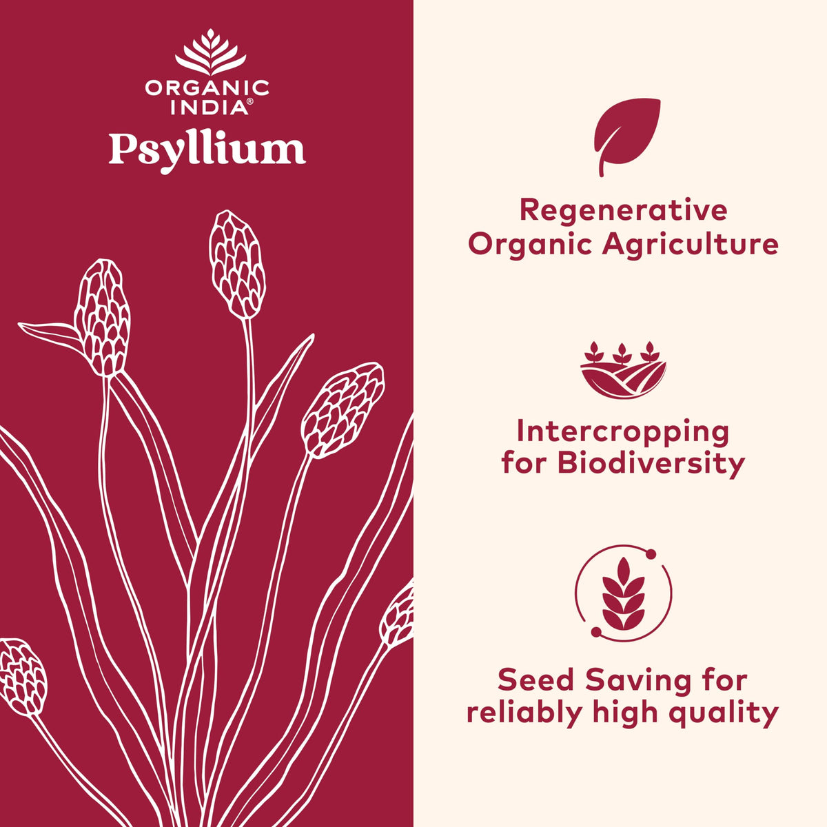 Psyllium Whole Husk Fiber Supplement 12 oz V776
