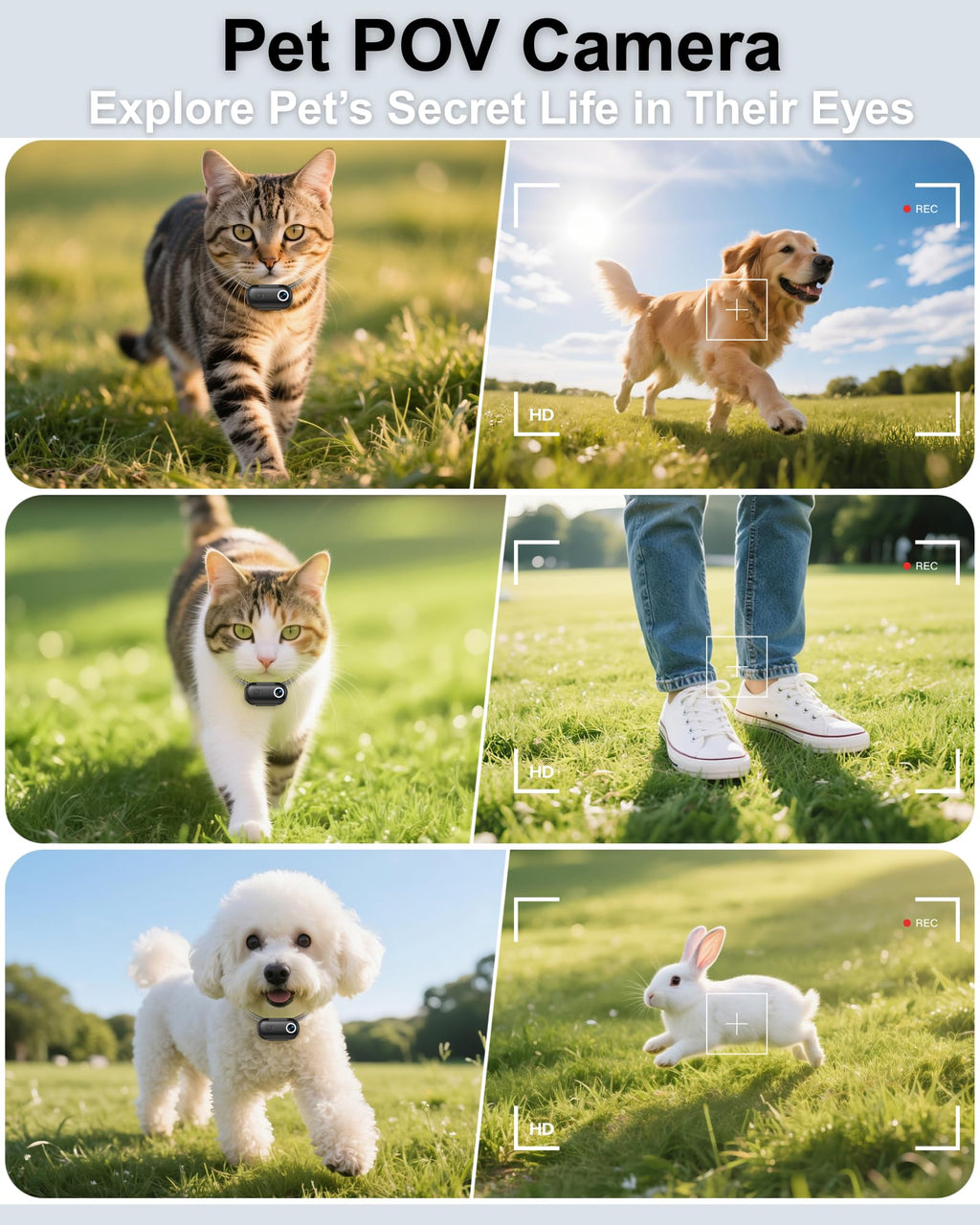 Cat Camera Collar with Location Tracker P6641
