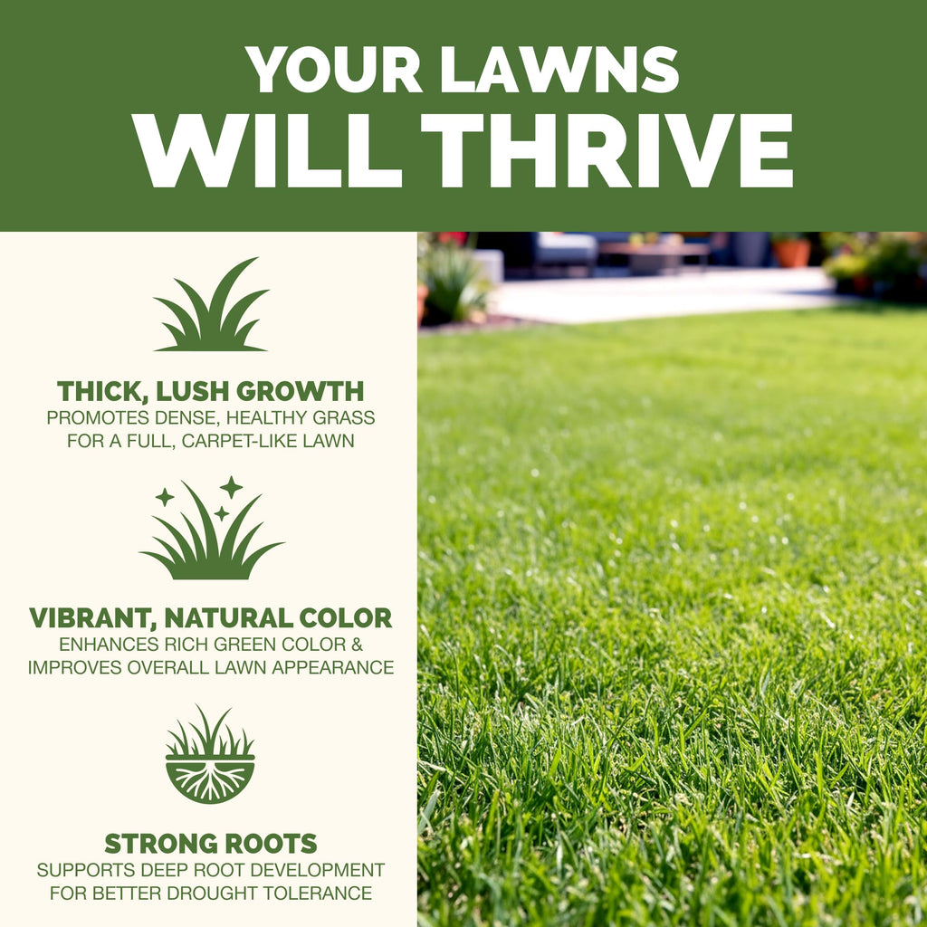Liquid Lawn Fertilizer 1 Gallon Y71651