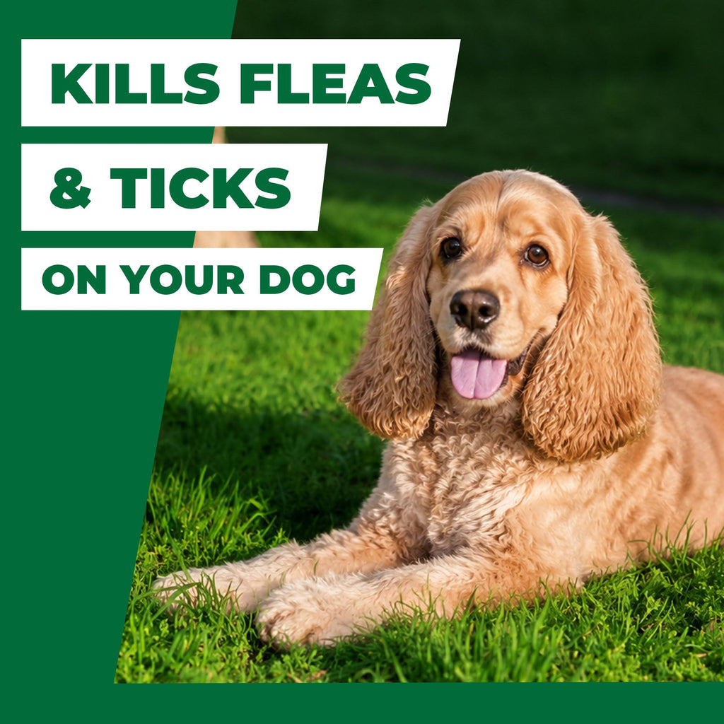 Flea and Tick Chews for Dogs 7.5 mg Soft Chews 30 Count Z356