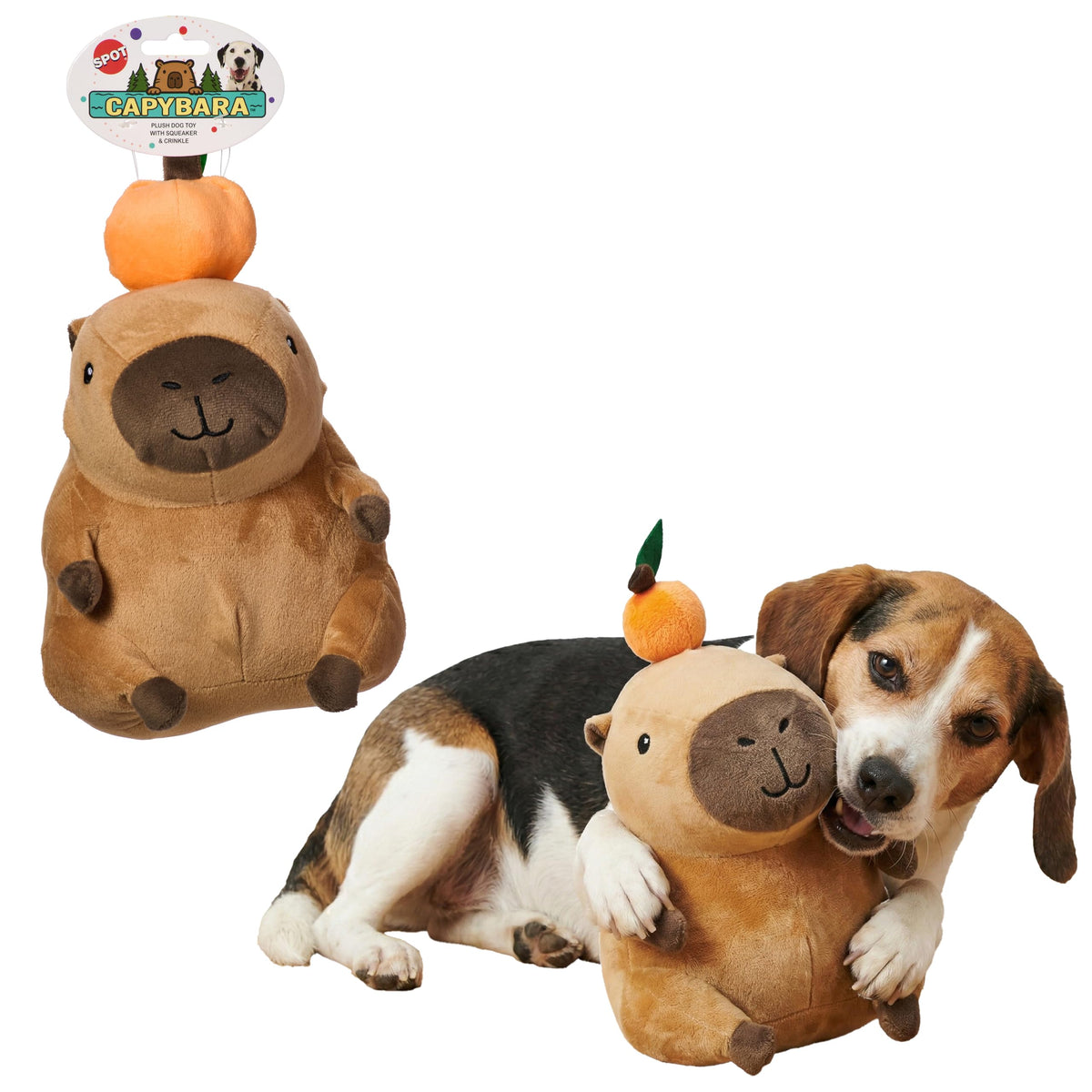 Soft Stuffed Squeaky Crinkle Capybara Dog Toy 8 Inch H27417
