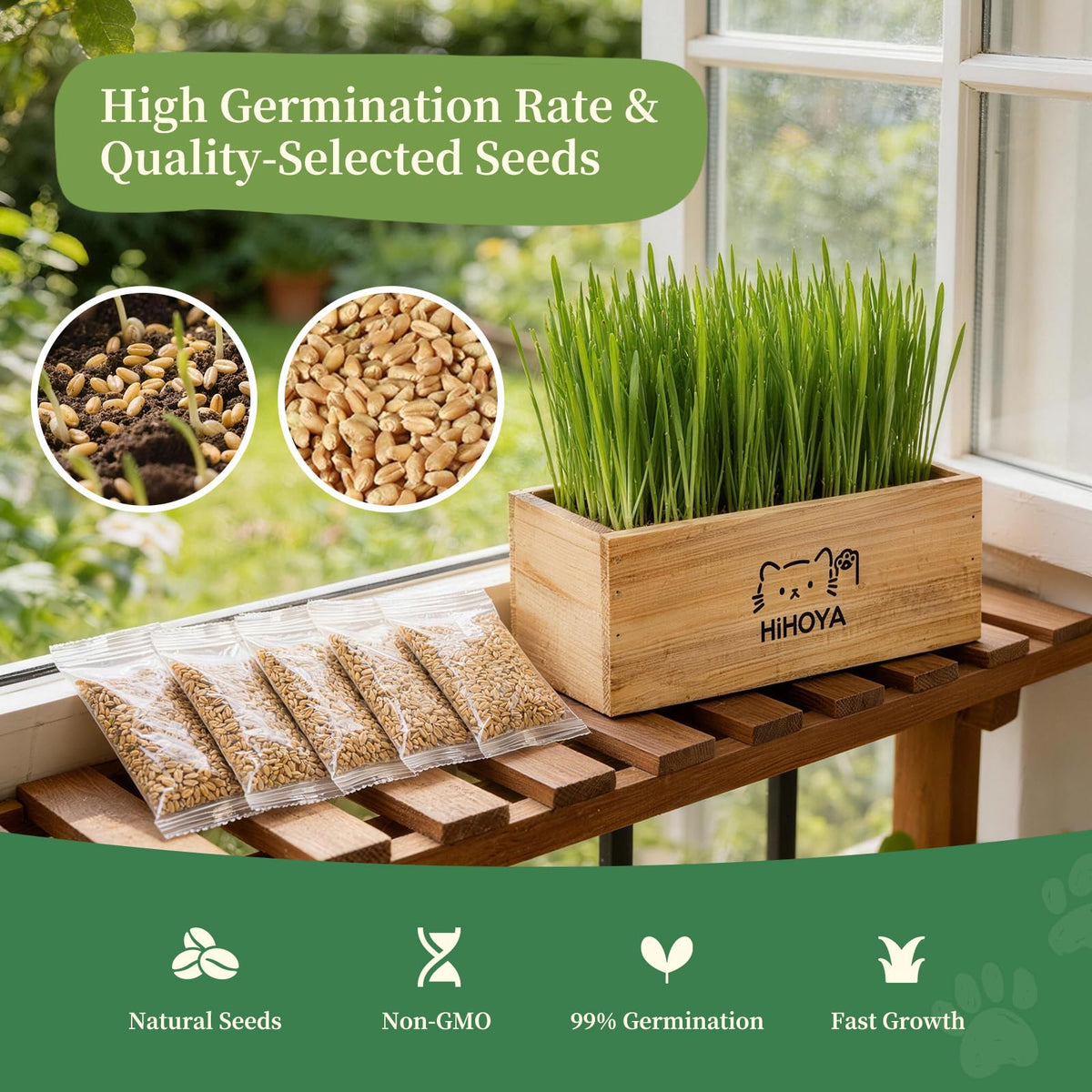 Cat Grass Kit with 5 Packets of Seeds, Wooden Planter, 6 Soil Discs, Trimming Scissors, Spray Bottle, and Mini Tools Z275866
