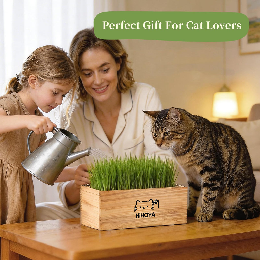 Cat Grass Kit with 5 Packets of Seeds, Wooden Planter, 6 Soil Discs, Trimming Scissors, Spray Bottle, and Mini Tools Z275866