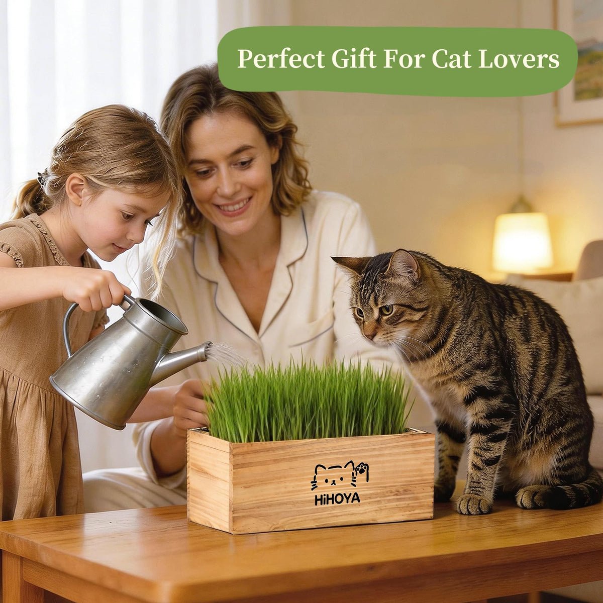 Cat Grass Kit with 5 Packets of Seeds, Wooden Planter, 6 Soil Discs, Trimming Scissors, Spray Bottle, and Mini Tools Z275866