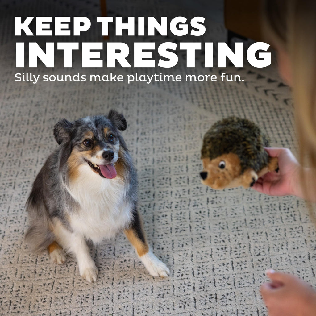 Plush Dog Toy A718423