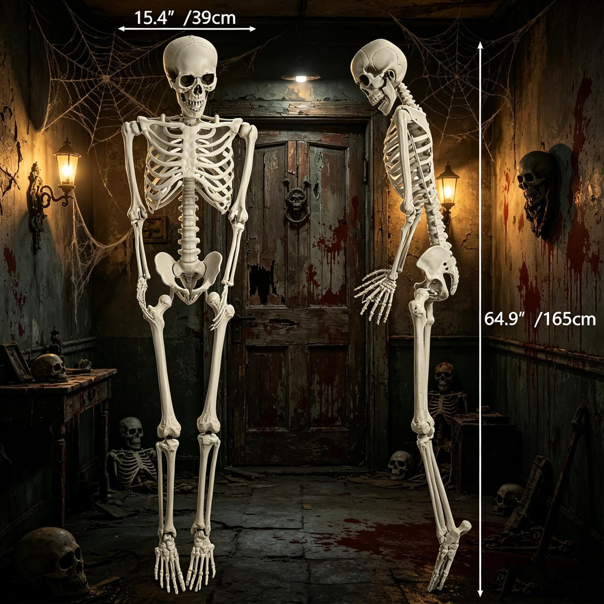 5.4FT Life Size Skeleton with Movable Joints K8321