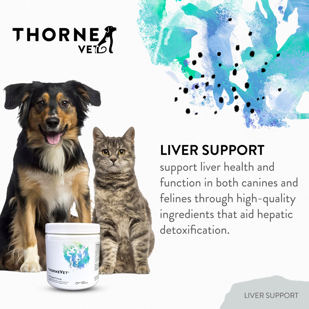 Liver Support Powder for Dogs & Cats K70211