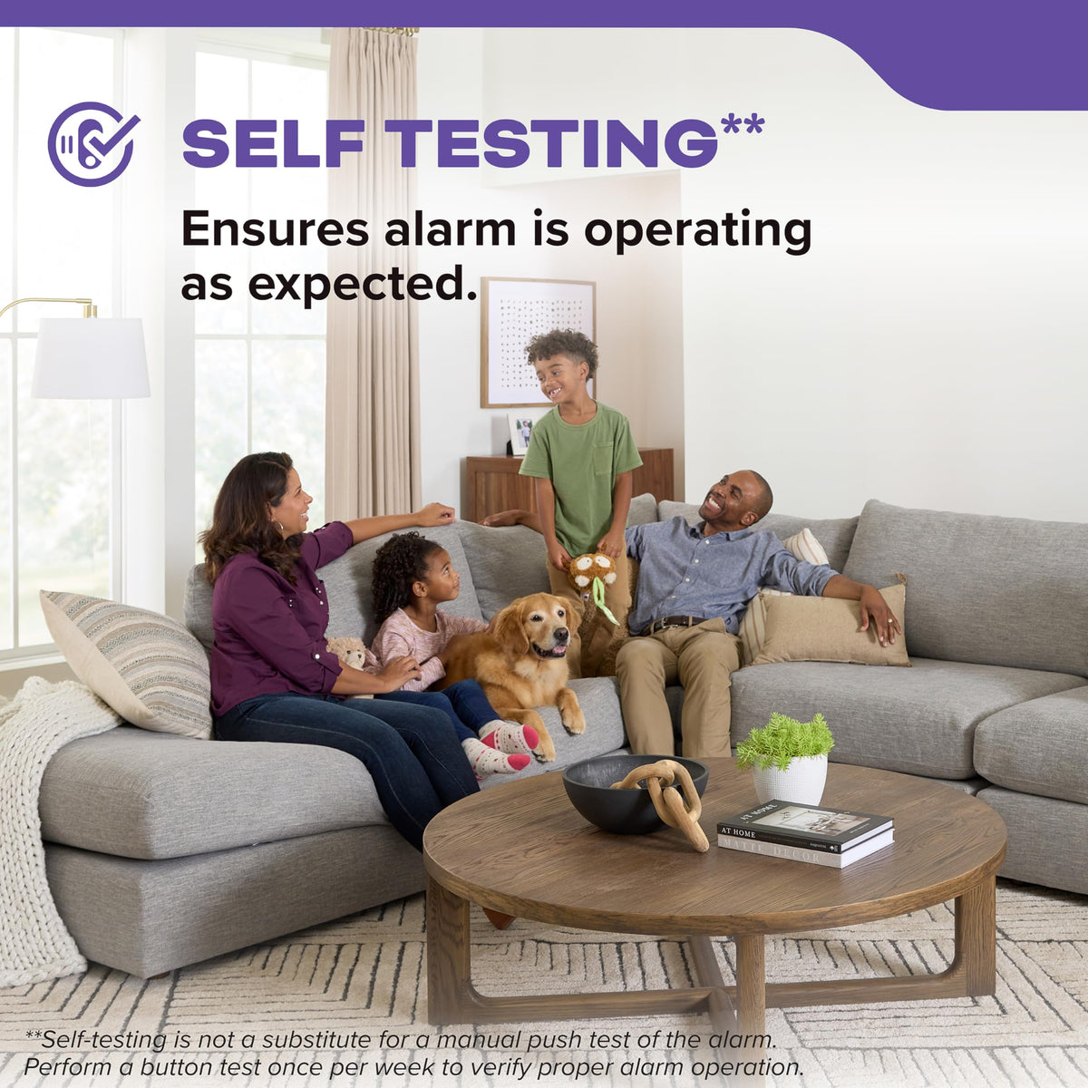 Smoke and Carbon Monoxide Detector, Hardwired with 10-Year Battery Backup A9092