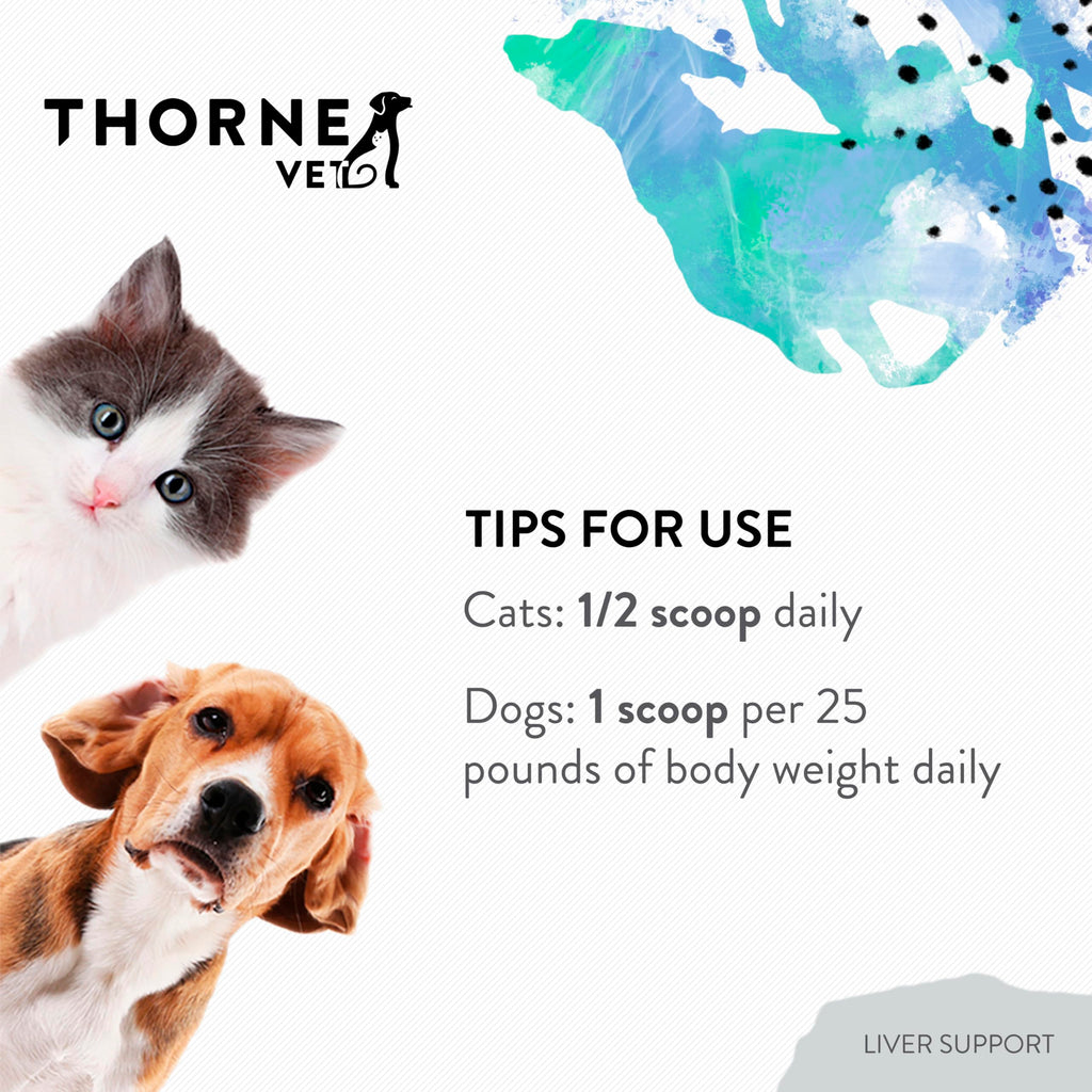 Liver Support Powder for Dogs & Cats K70211