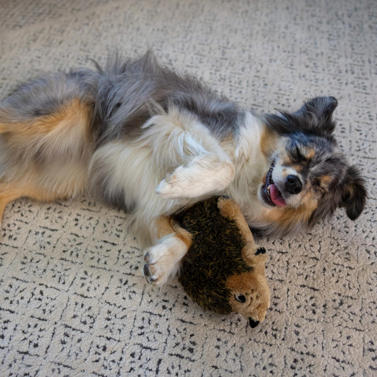Plush Dog Toy A718423
